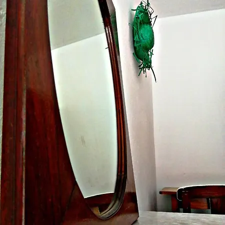 Tasarte Guest house Playa de Tasarte