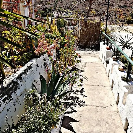 Tasarte Guest house *