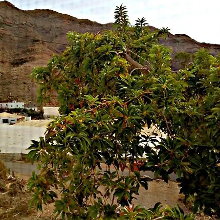 Tasarte بيت ضيافة Playa de Tasarte